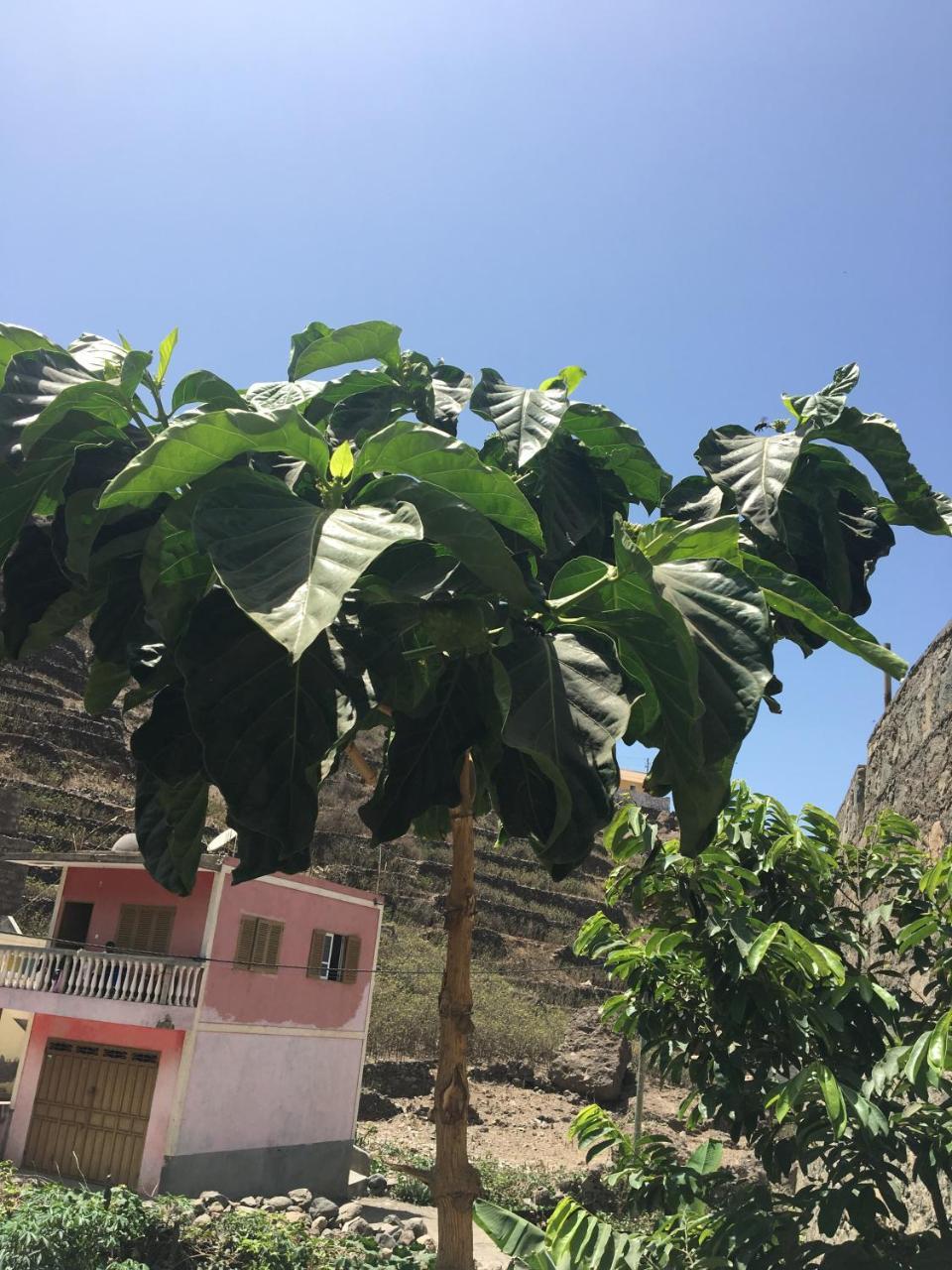 Guest House Frontera Pinto Exterior photo